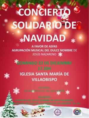 Concierto Solidario