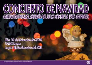 Concierto Solidario